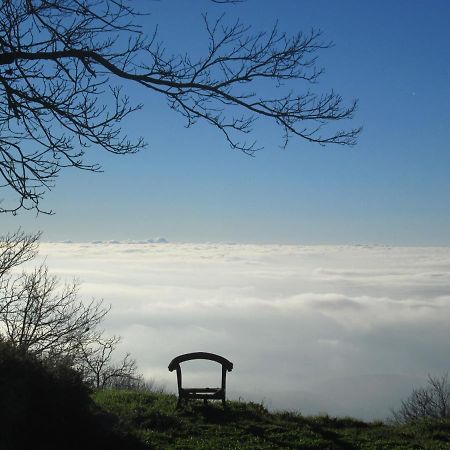 Bed and Breakfast Montalma Monchique Exterior foto